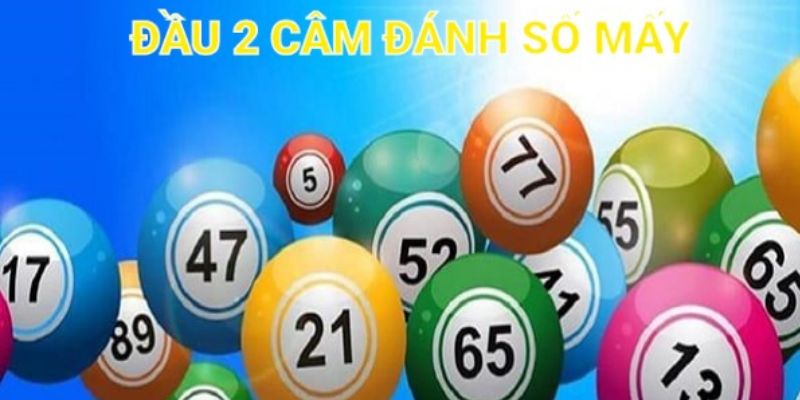 Soi cầu đầu câm